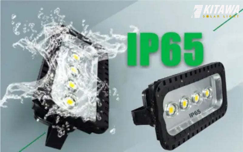 chỉ số ip là gì