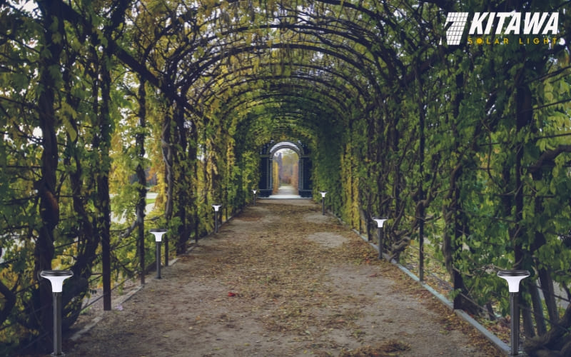 Đèn năng lượng mặt trời ứng dụng từ trong nhà đến sân vườn