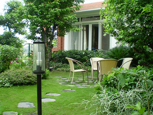 Không trồng cây to trước sân nhà