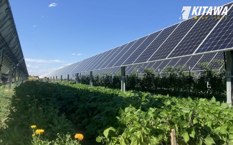 Lắp điện mặt trời 24kw cho trang trại mang lại hiệu quả cao
