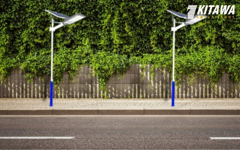 Lựa chọn nơi có ánh sáng mặt trời và không bị che chắn