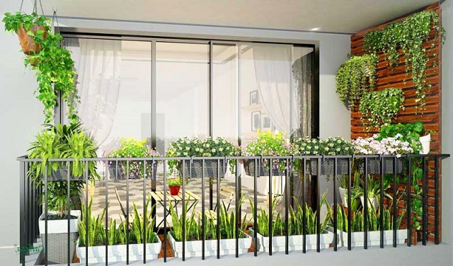 Trang trí bằng cây cảnh và hoa