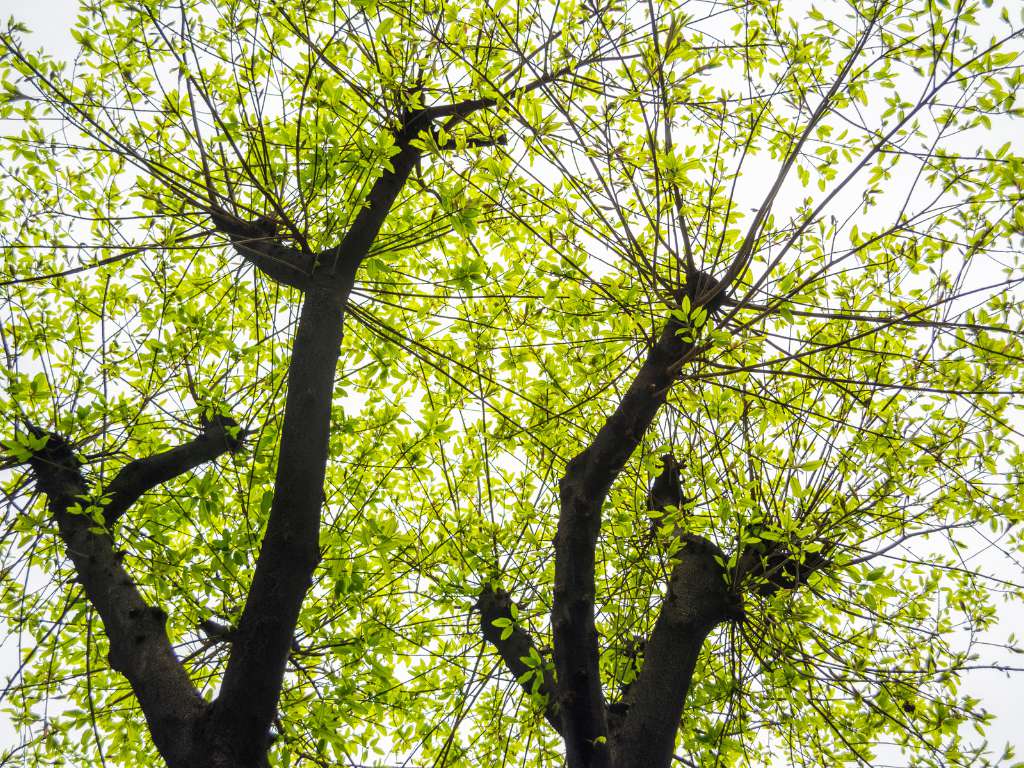 suoi-mo-doc-tinh-khanh-hoa