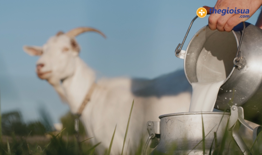 Khi nao nen chon sua de cong thuc