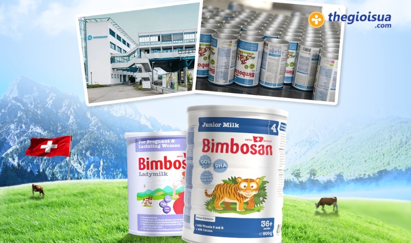 loi ich va han che cua sua noi dia sua nhap khau