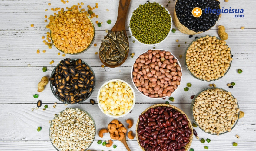 Ngu coc nguyen cam va dau do