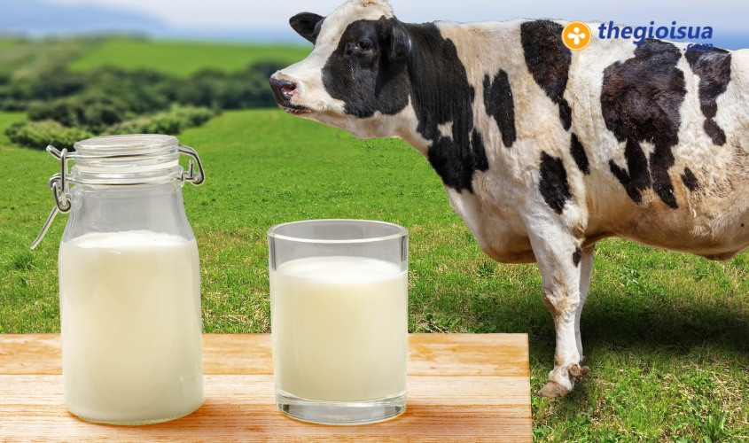 Nguyen lieu tu bo sua nuoi tha tu nhien