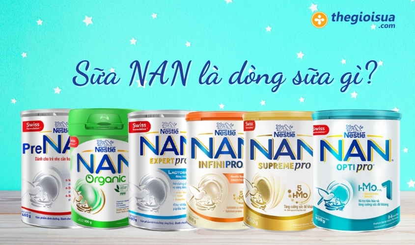 sua nan la dong sua nao