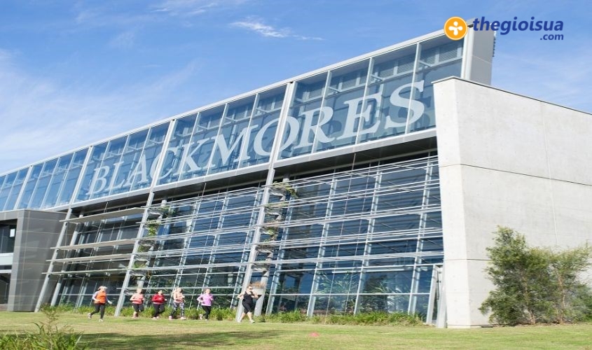 Thong tin ve xuat xu cua sua Blackmores