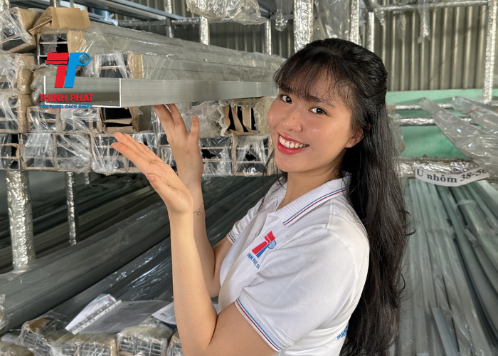 hệ phụ kiện nhôm panel