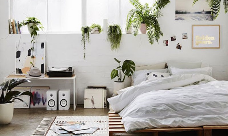 Dùng nội thất để decor phòng trọ