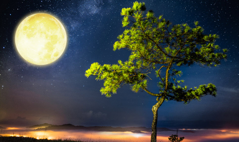 Tranh phong thủy cao cấp tại Decornow