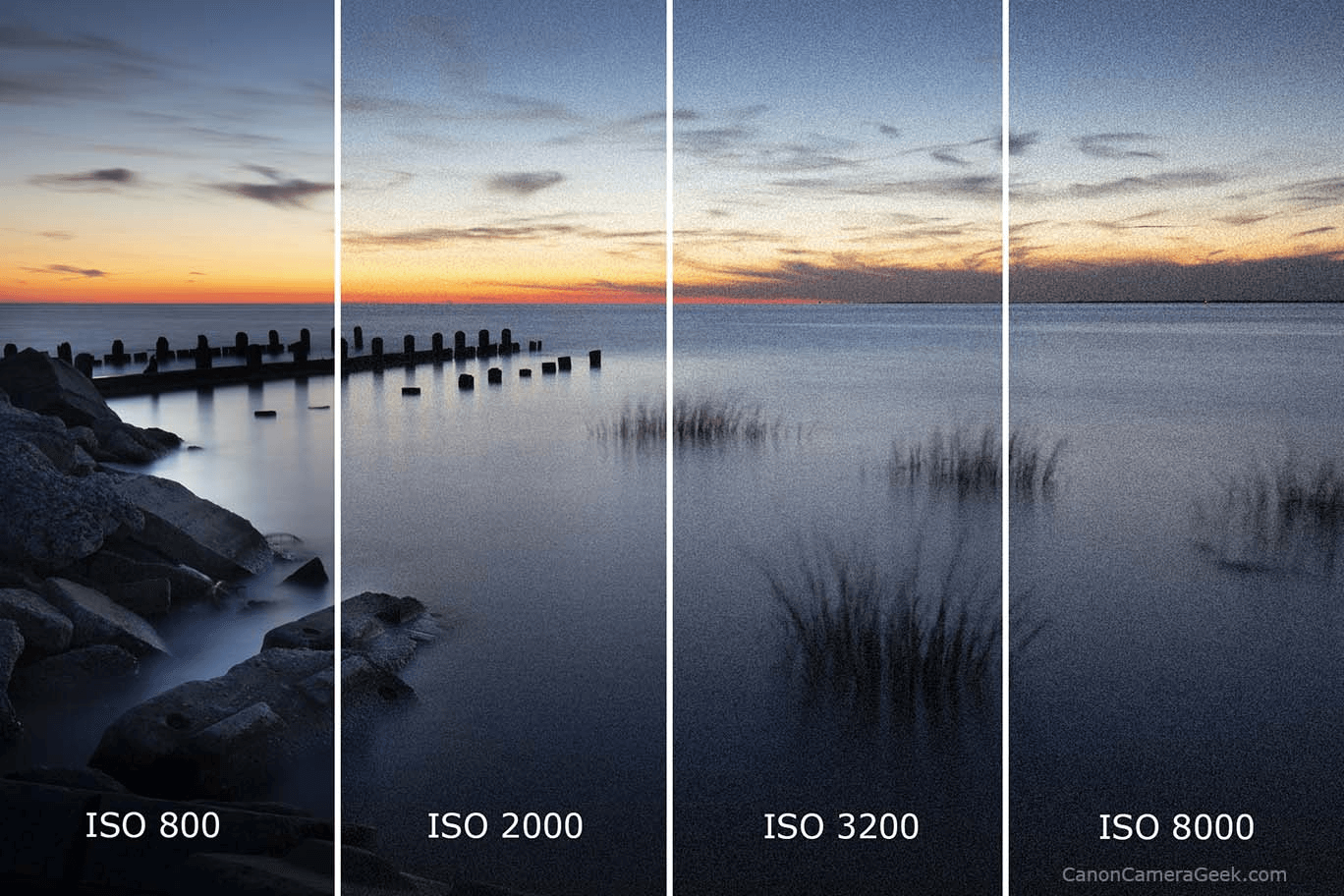 noise-trong-chup-anh