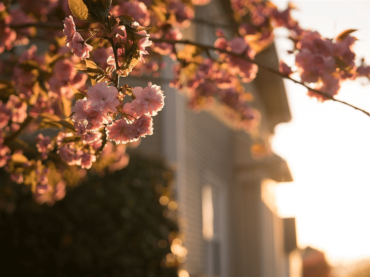 chat-luong-hinh-anh-tu-sigma-30mm-f1.4