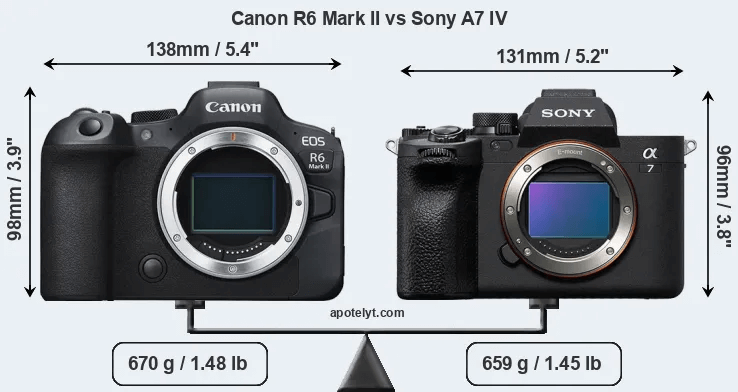 so-sanh-canon-r6marrkii-vs-sony-a7iv