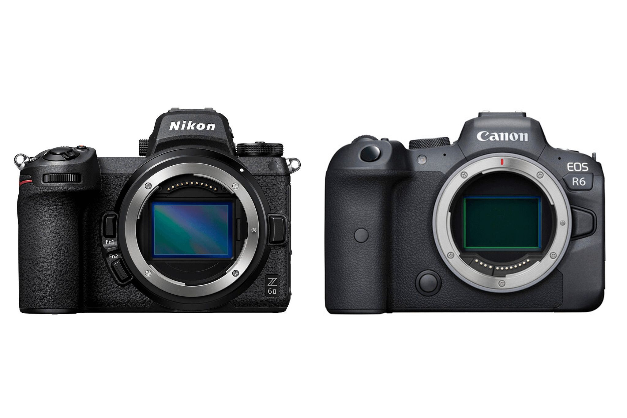 so-sanh-canon-r6marrkii-vs-nikon-z6ii