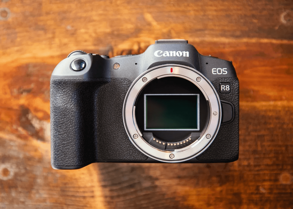 canon-eos-r8