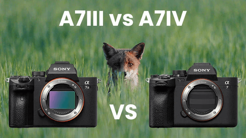 sony-a7iii-vs-a7iv