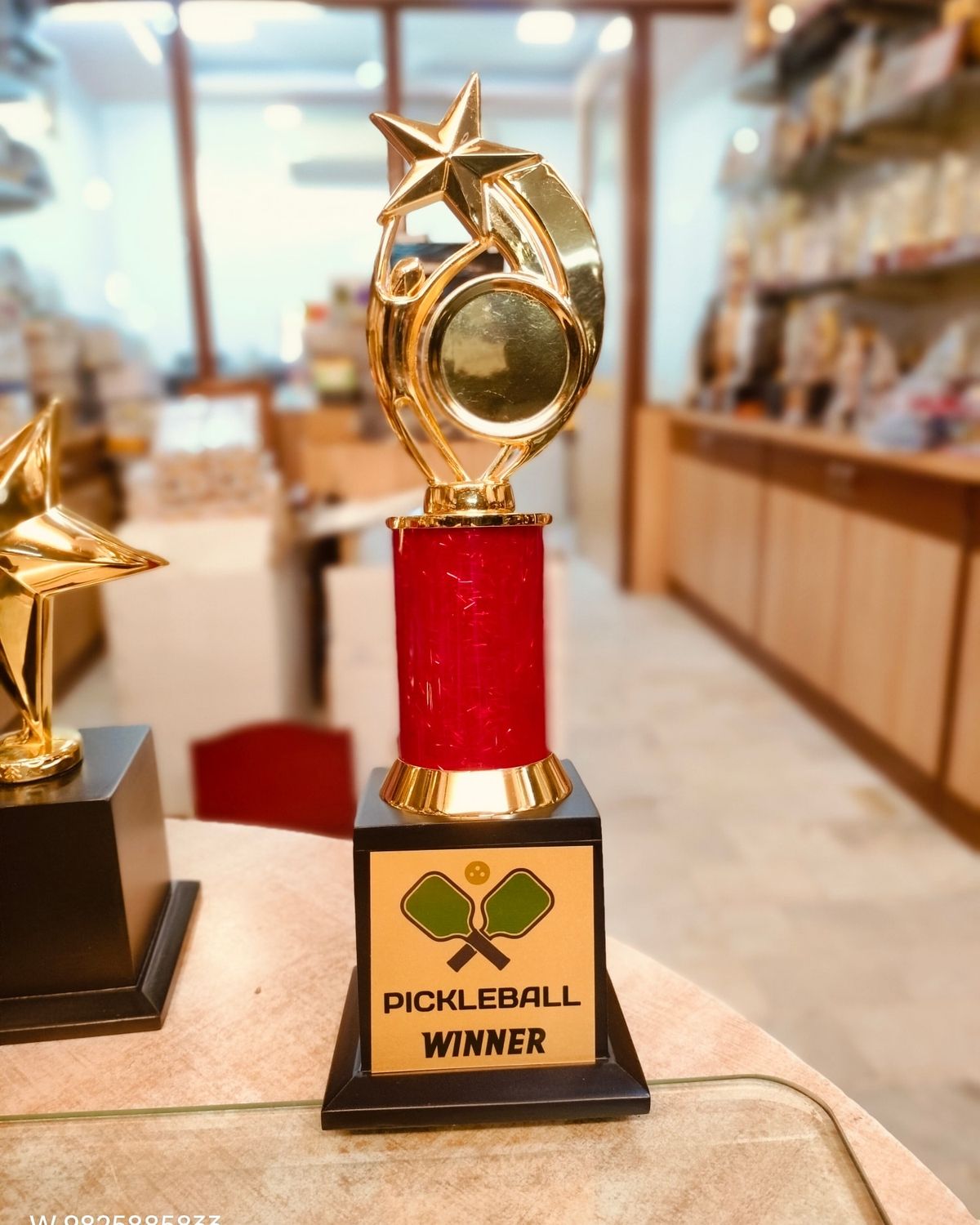 cup-giai-dau-pickleball