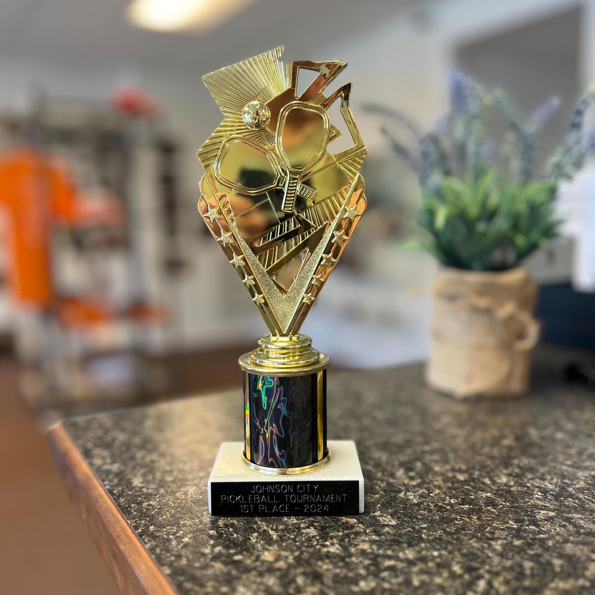 cup-giai-dau-pickleball