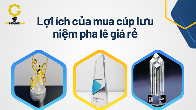 Cúp lưu niệm pha lê giá rẻ 2