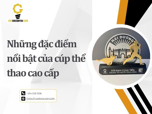 Cup-the-thao-cao-cap