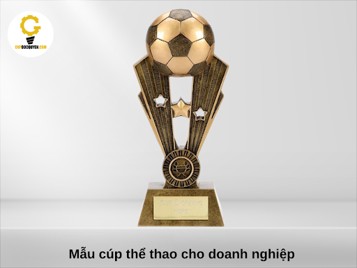 cup-the-thao-cho-truong-hoc-va-doanh-nghiep