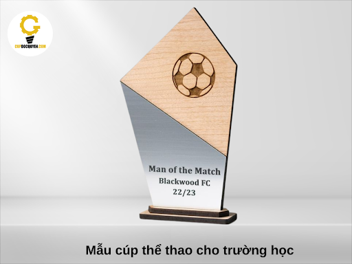 cup-the-thao-cho-truong-hoc-va-doanh-nghiep