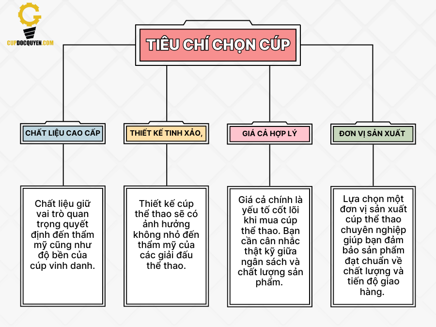 Cup-the-thao-da-nang