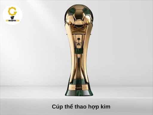 cup-the-thao-doanh-nghiep
