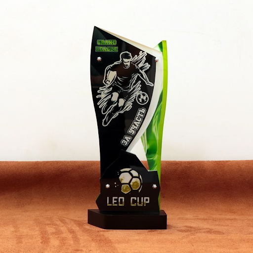 cup-the-thao-nhap-khau