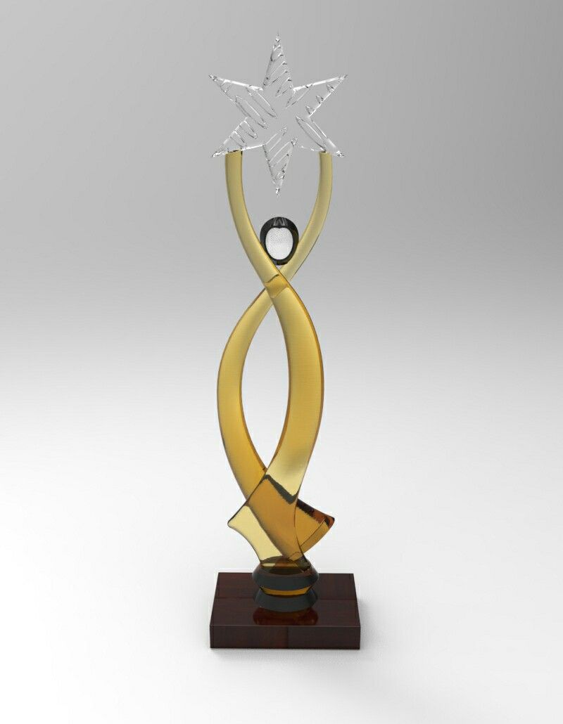 cup-vinh-danh-chuyen-gia-phun-xam