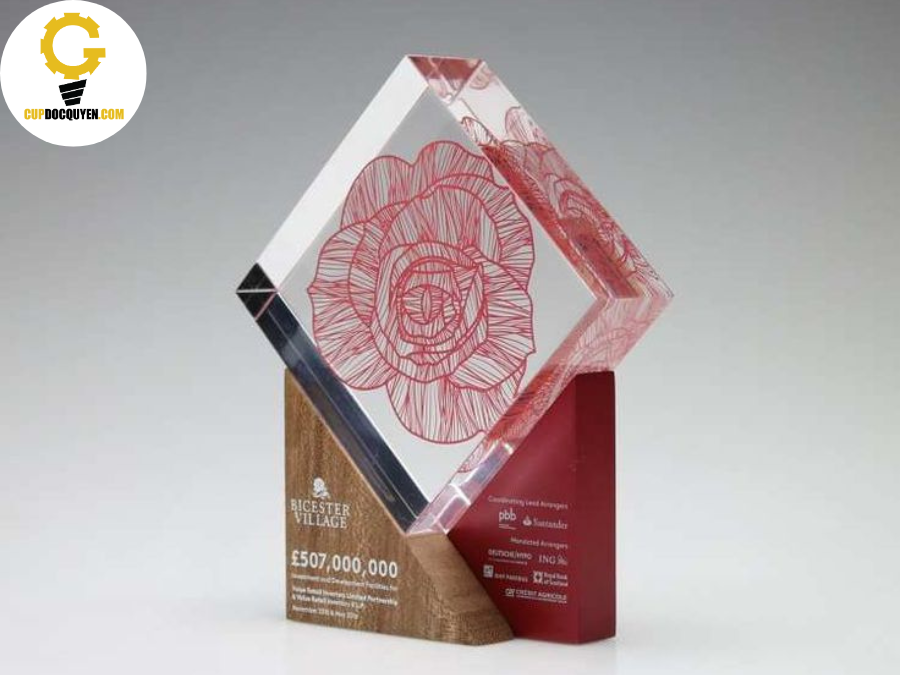 cúp vinh danh và kỷ niệm chương gỗ 3