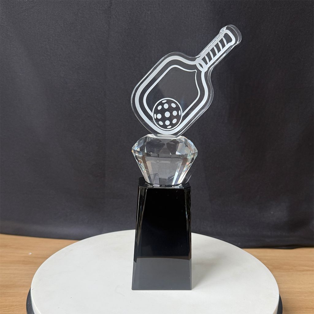 cup-vo-dich-pickleball