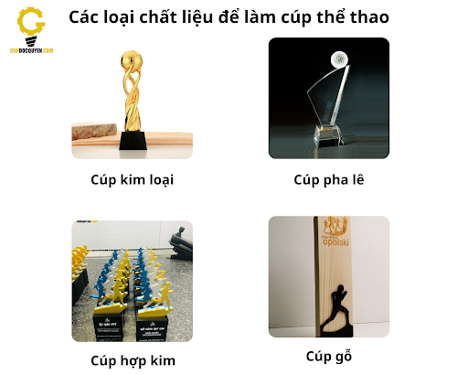 Dat-lam-cup-the-thao