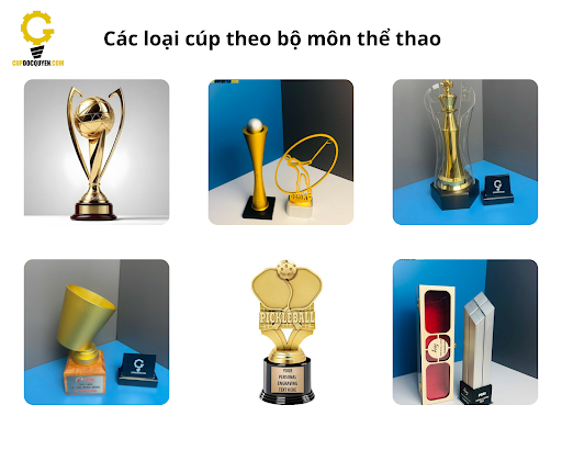 Dat-lam-cup-the-thao