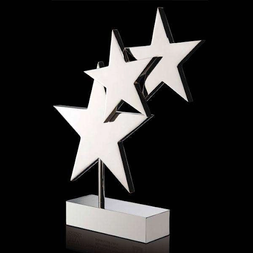 Hinh-anh-cup-vinh-danh