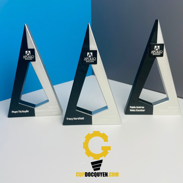 kỷ niệm chương giá rẻ