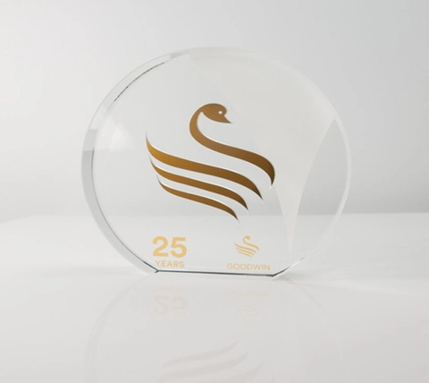 kỷ niệm chương giá rẻ hình tròn 2