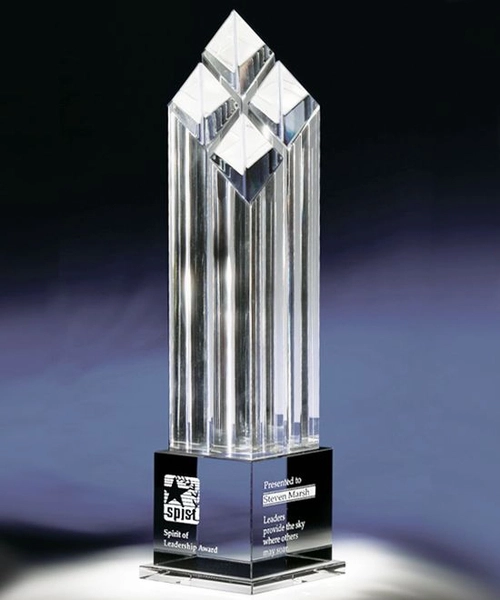 kỷ niệm chương giá rẻ 5