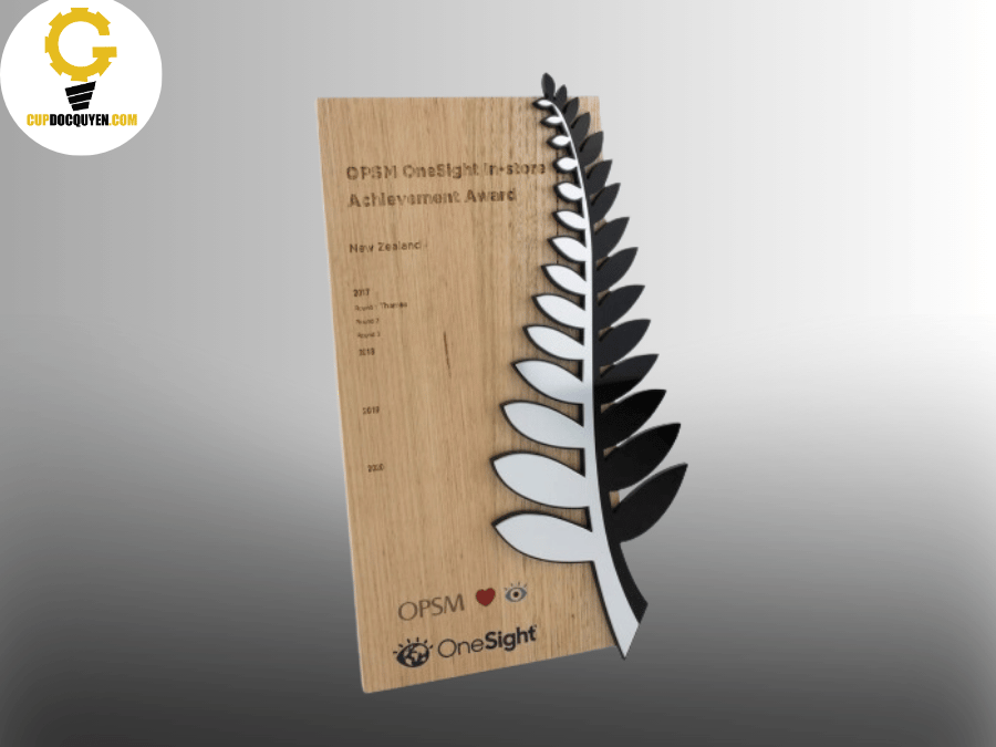 Mẫu kỷ niệm chương gỗ đẹp 3