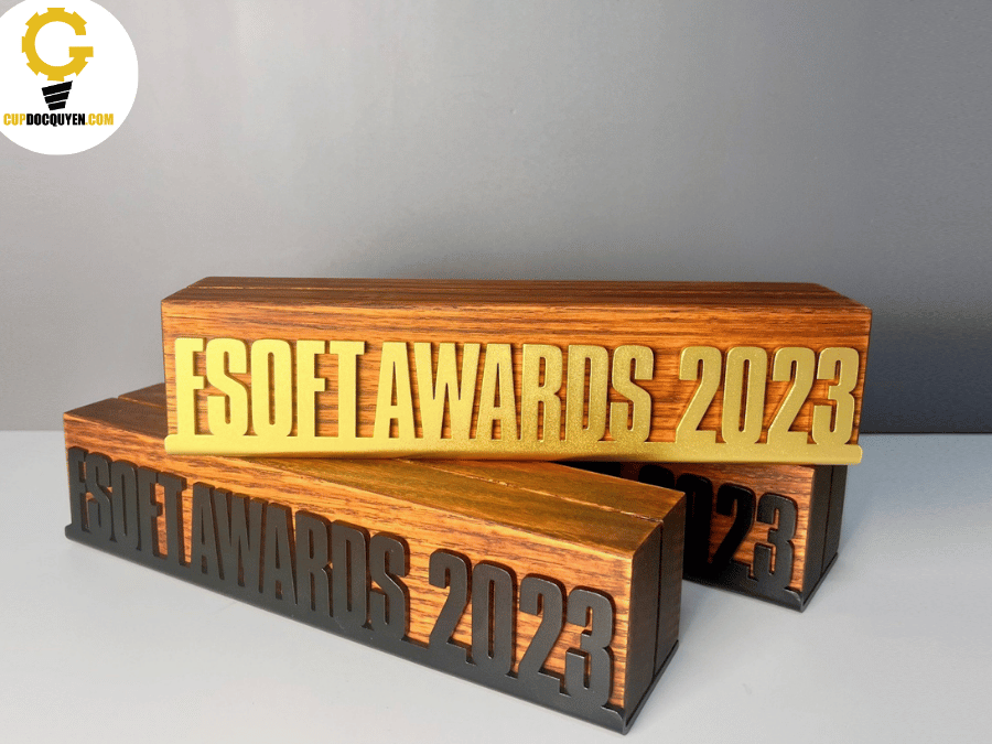 Mẫu kỷ niệm chương gỗ đẹp 2