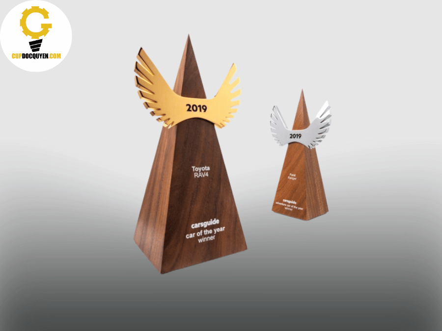 Mẫu kỷ niệm chương gỗ đẹp 5