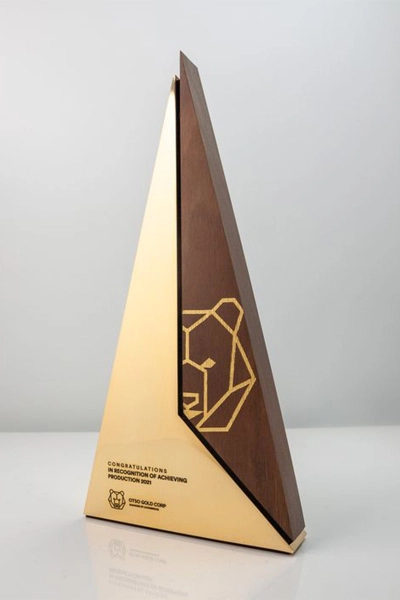 Kỷ niệm chương gỗ đồng 2