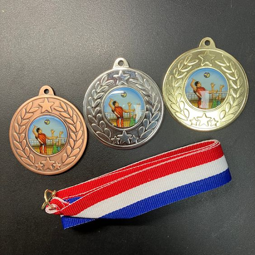 Mau-huy-chuong-bong-chuyen