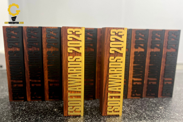 quy trình sản xuất kỷ niệm chương gỗ đồng 2