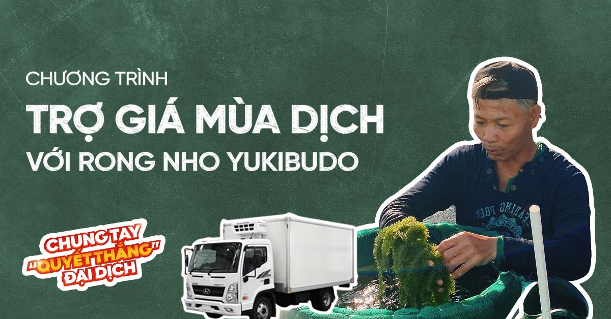Chương Trình Ưu Đãi Hấp Dẫn - Trợ Giá Mùa Dịch Với Rong Nho Yukibudo Chương Trình Ưu Đãi Hấp Dẫn - Trợ Giá Mùa Dịch Với Rong Nho Yukibudo