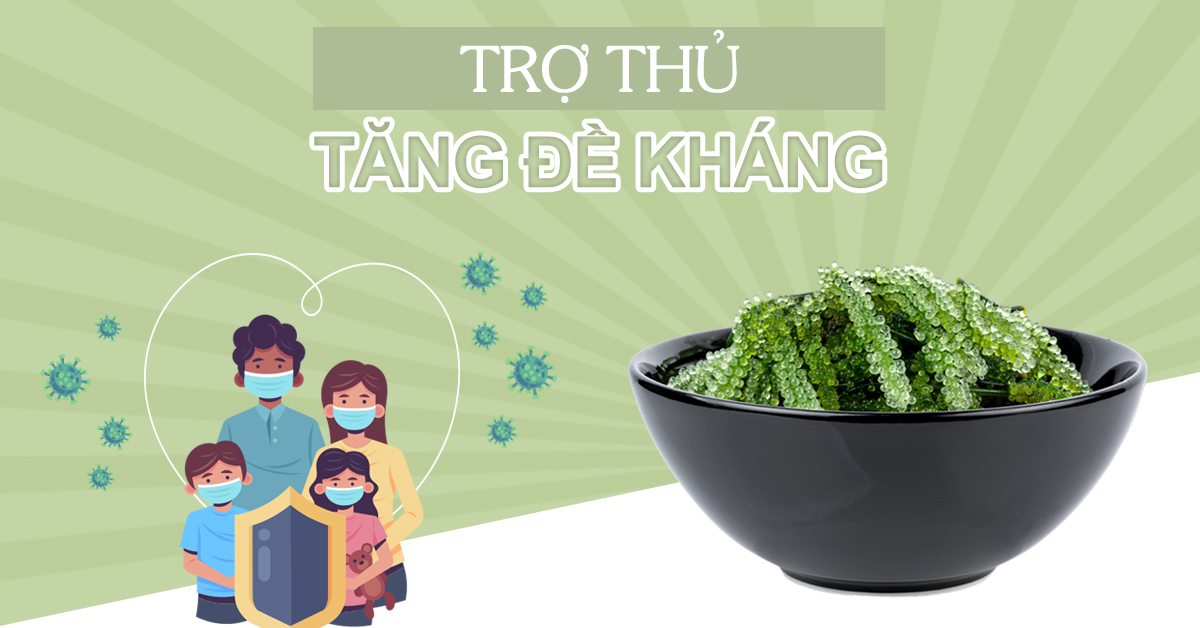 Thanh Mát Ngày Hè Với Món Quà Từ Biển - Rong Nho tách nước Yukibudo Thanh Mát Ngày Hè Với Món Quà Từ Biển - Rong Nho tách nước Yukibudo