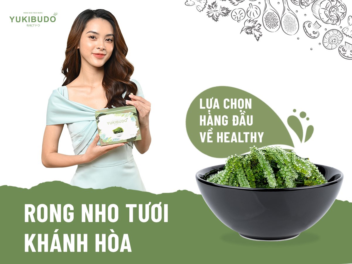 Rong Nho Tươi Khánh Hòa Và Bài Toán Khó Cho Thị Trường Nội Địa Rong Nho Tươi Khánh Hòa Và Bài Toán Khó Cho Thị Trường Nội Địa