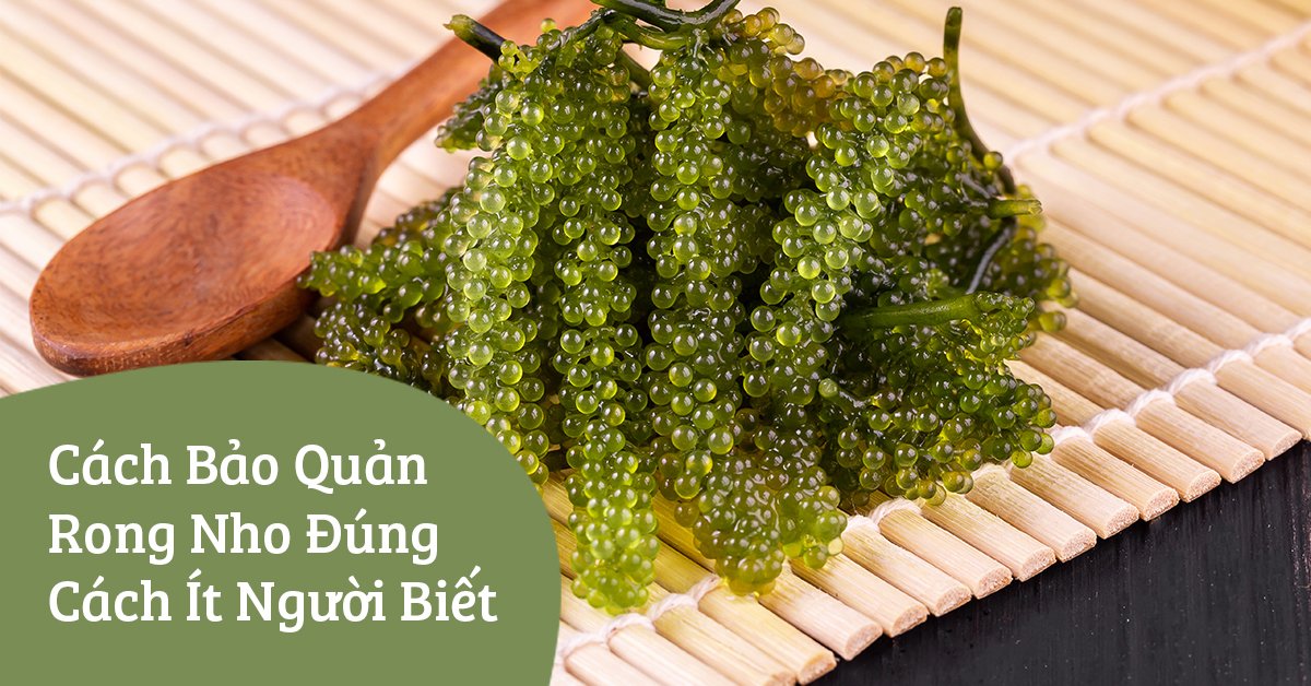 Cách Bảo Quản Rong Nho Đúng Cách Ít Người Biết Cách Bảo Quản Rong Nho Đúng Cách Ít Người Biết